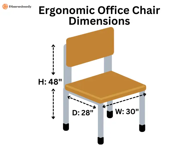 Ergonomic Office Chair Dimension
