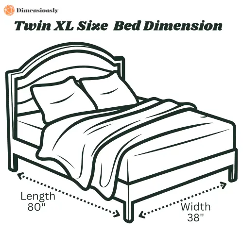 Twin XL Size Bed Dimension